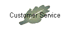 Customer Service